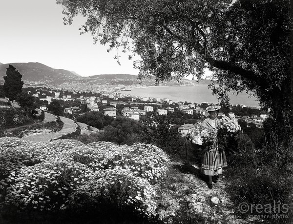 Photos de la Riviera par Jean Gilletta. - Laure Gilletta devant des cultures d'anthémis sur la colline de Fabron, à Nice, vers 1930