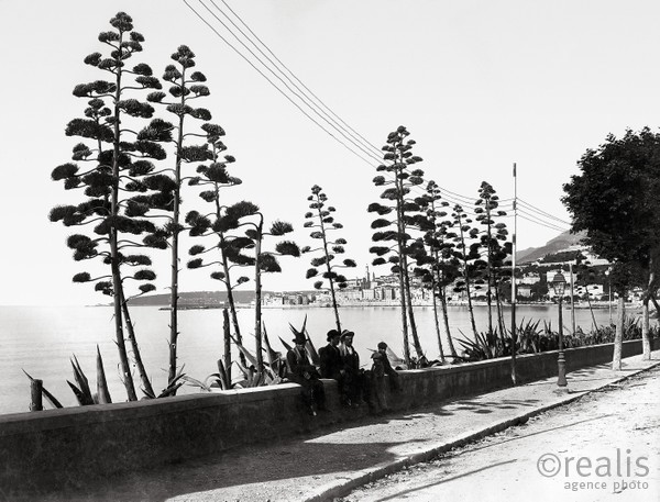 Photos de la Riviera par Jean Gilletta. - MENTON, entre les aloès, vers 1895.