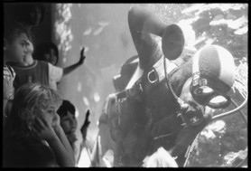 Un plongeur assure la maintenance dans le Grand Aquarium. Musée Océanographique de Monaco. - Photos de P.H. Sébastien Darrasse extraites du livre "Faces of Monaco". (Edition WHY).
