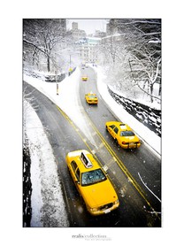Taxi sous la neige, Central Park