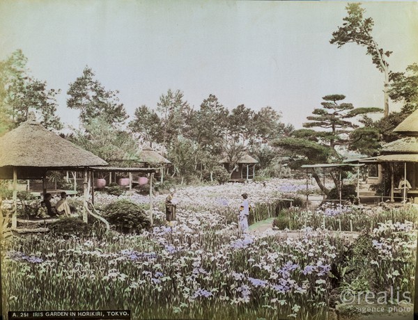 Colection de photos anciennes du Japon du XIXeme siècle colorisée d'époque. - Photographies de Kusakabe Kinbei. Kusakabe Kinbei (日下部 金兵衛) 1841 — 1934  photographe japonais qui était généralement appelé par son prénom, Kinbei, car sa clientèle, en majorité étrangère, trouvait plus facile à ne prononcer que son nom.

Kinbei Kusakabe fut coloriste et assistant aux côtés de Felice Beato et du baron Raimund von Stillfried avant d'ouvrir son propre atelier à Yokohama en 1881 dans le quartier de Benten-dōri et, en 1889, il déménagea dans le quartier de Honmachi. Il ouvrit aussi un atelier annexe dans le quartier de Ginza à Tokyo.

Vers 1885, il racheta les négatifs de Beato et de Stillfried, ainsi que ceux de Kuichi Uchida et certains d'Hikoma Ueno.

Il arrêta son activité de photographe en 1912-1913 en laissant une oeuvre importante d'une sensibilité particulière.