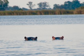 Voyage "L'aventure ! L'aventure...." - Parc Morémi - Delta de l'Okavango - Botswana
