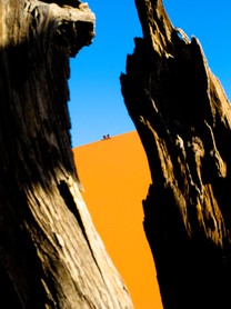 Voyage "L'aventure ! L'aventure..." - Naukluft Park - Namibie