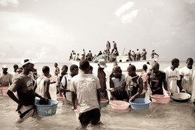 Arrivée des pêcheurs - Plage de Pemba - Mozambique - Février 2010