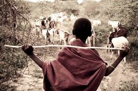 Engikaret - Village Massaï - Nord Tanzania - Voyage "L'aventure, l'aventure !"