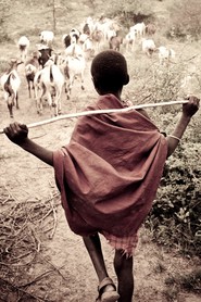 Engikaret - Village Massaï - Nord Tanzania - Voyage "L'aventure, l'aventure !"