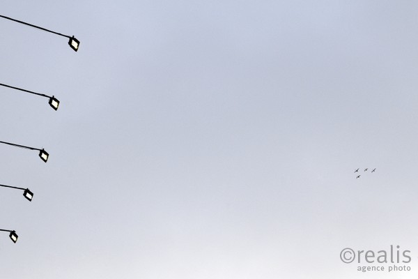 Arrival - Vier Zugvögel am Himmel fliegen im Formationsflug auf fünf Strahler zu.