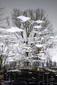 Winter-Gown - Spiegelung eines Baumes und einer Brücke im Fluss ( Spree ) mit Eisschollen, die über das Wasser gleiten und eine winterliche Stimmung verbreiten.